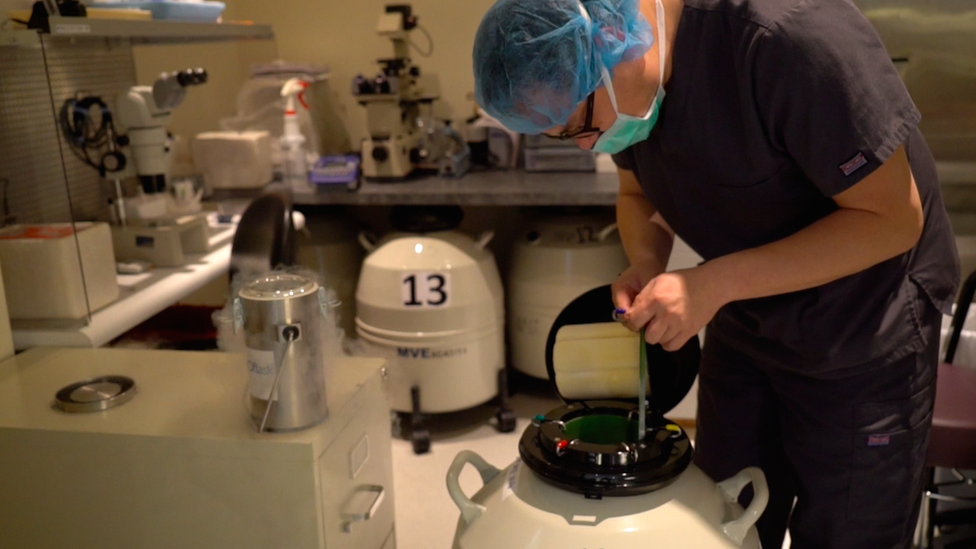 A laboratory technician places tubes of human eggs into a storage tank