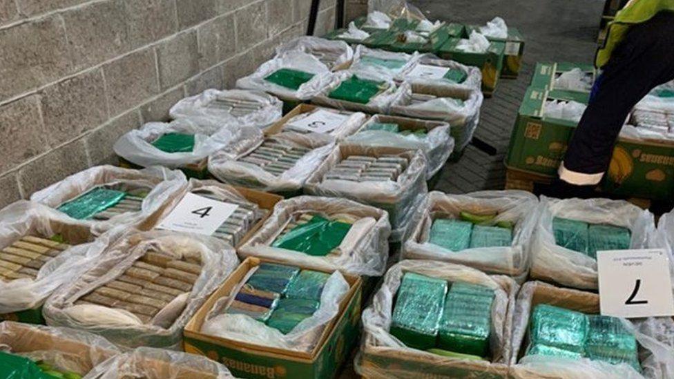 A police image showing packets of cocaine carefully packaged with green and white cellophane and inside a row of banana crates 