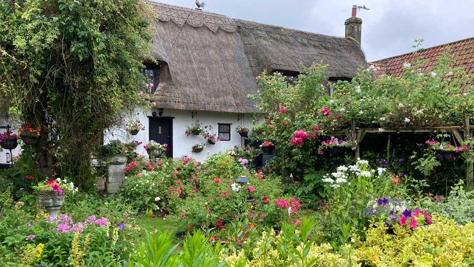 Rita and Roy Cooper, open garden