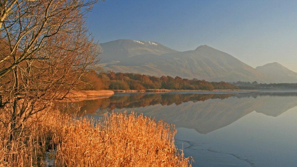 Light hitting reeds at foot of Bassenthwaite lake, Skiddaw in background