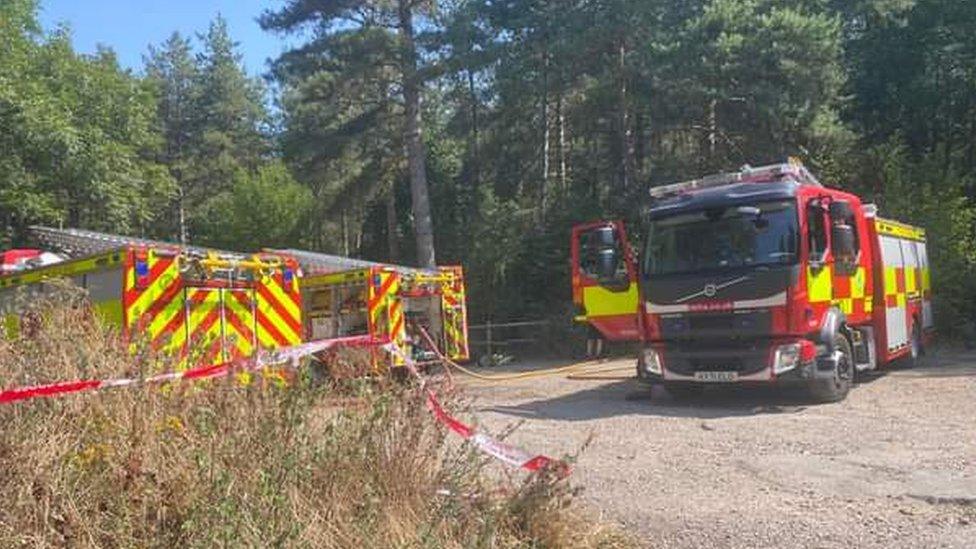 Fire engines at Sulham Woods in Reading