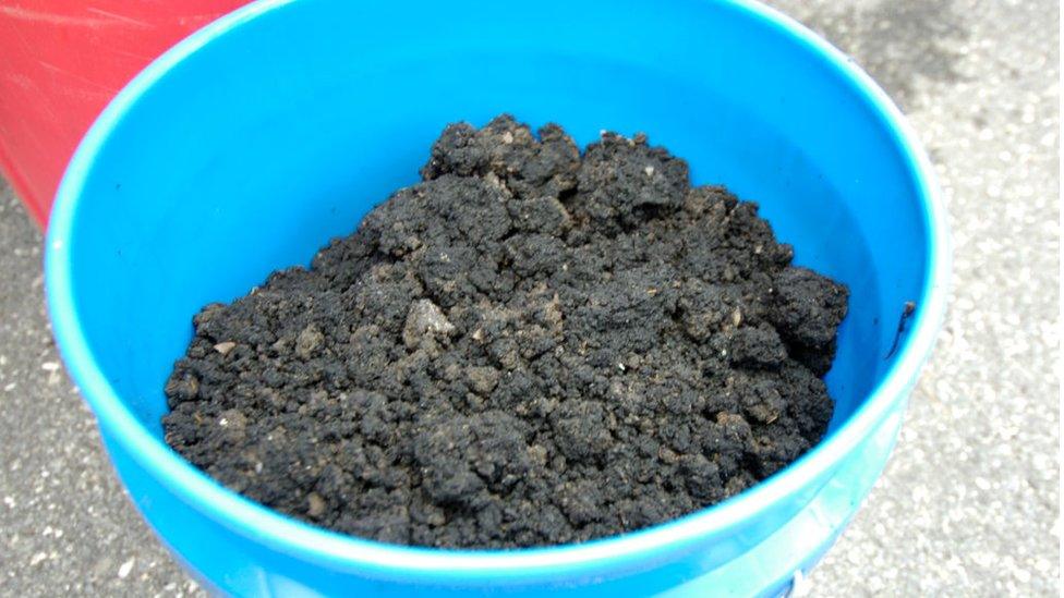 Biosolids in a bucket