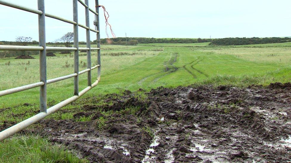 A mucky entrance to a field