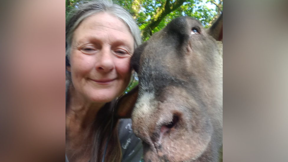 A close-up selfie of a grey-haired woman and a grey donkey.