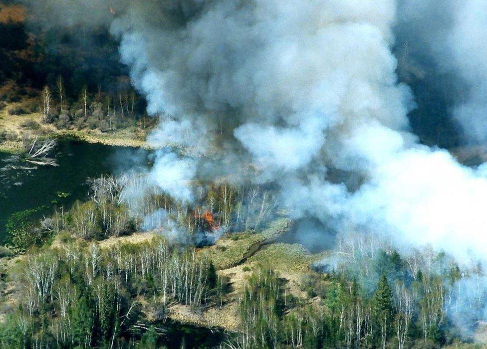 Wildfires burn in the taiga, or boreal forest, in Krasnoyarsk region, Russia. Photo: 1 August 2019