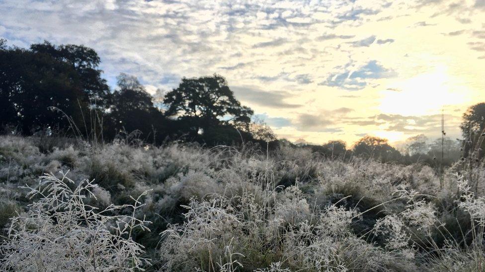 Frost in Nelson, Caerphilly county