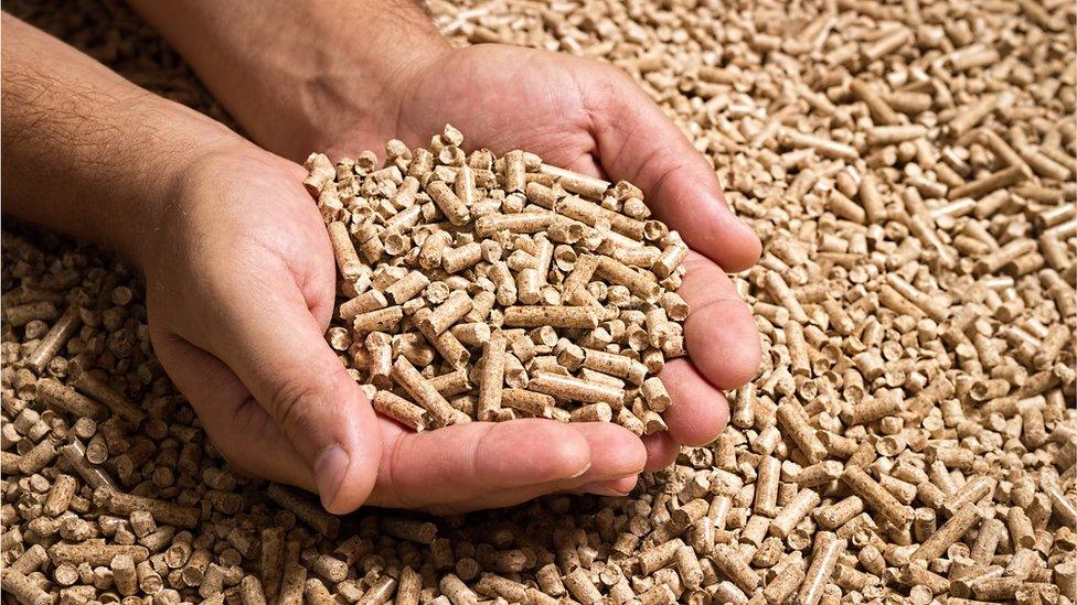 Wood pellets