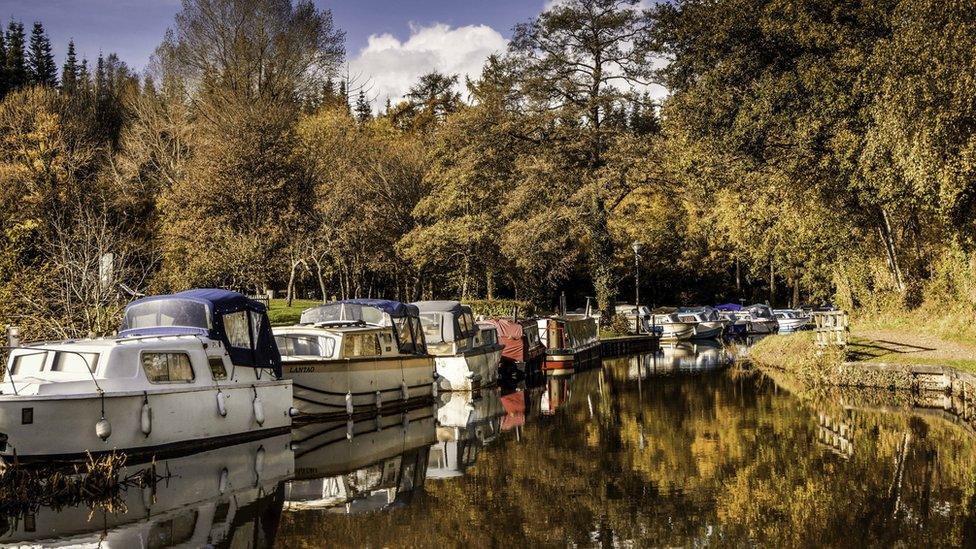 Julie Morgan took this picture at Goytre Wharf during a walk on a earlier in the autumn.