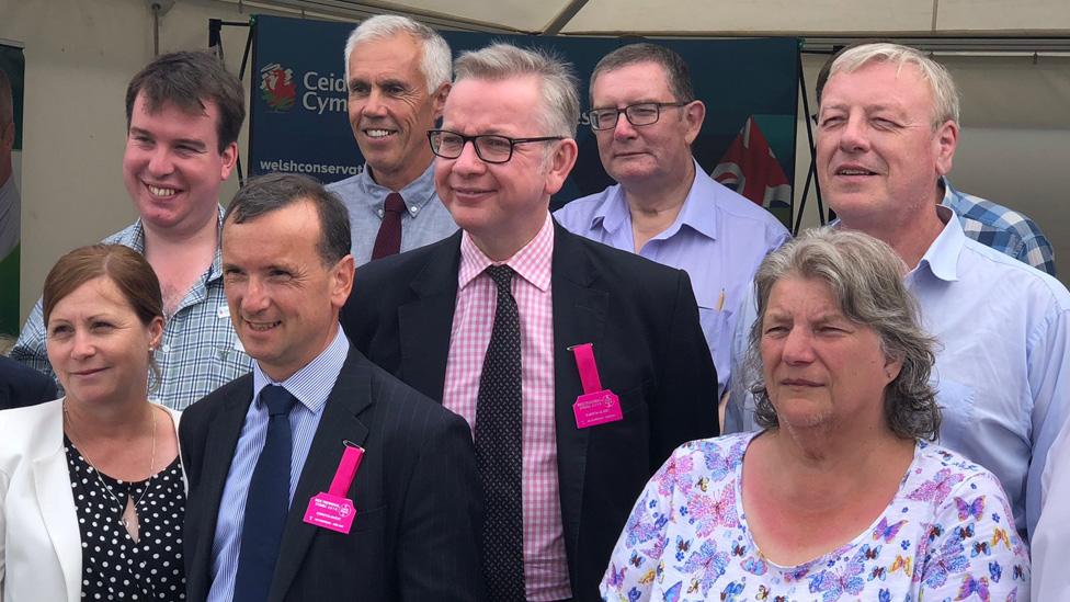 Michael Gove with Welsh Secretary Alun Cairns on a visit to the Royal Welsh Show