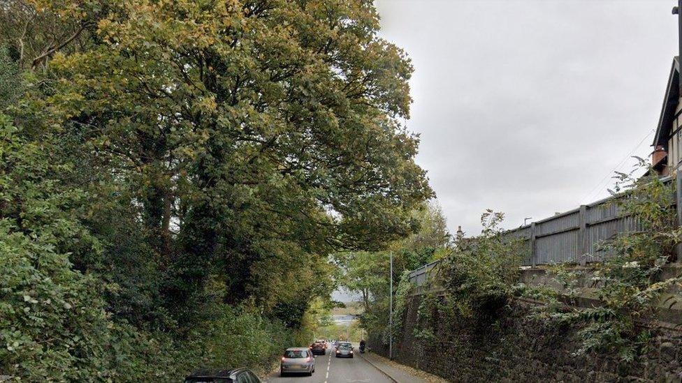 Trees on the A53