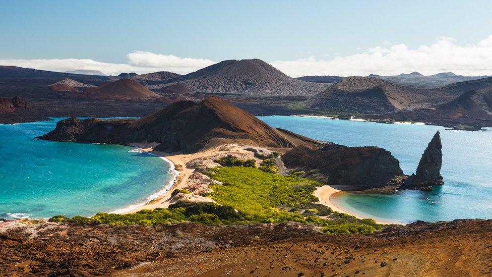 The Galapagos Islands