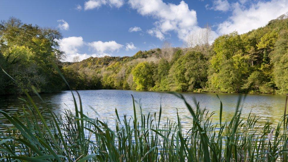 Parkmill Pond at Woodchester Park