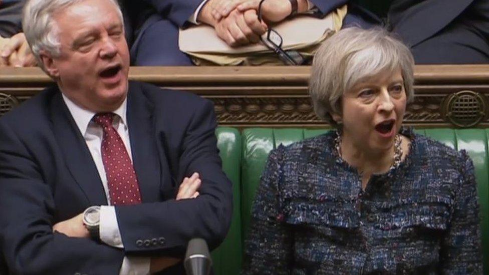 Theresa May and David Davis shout "aye"