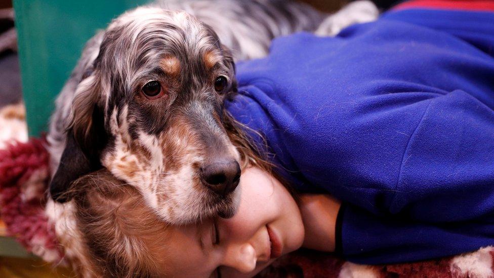 Katie McCloughlin lies with Topsy, her English Setter