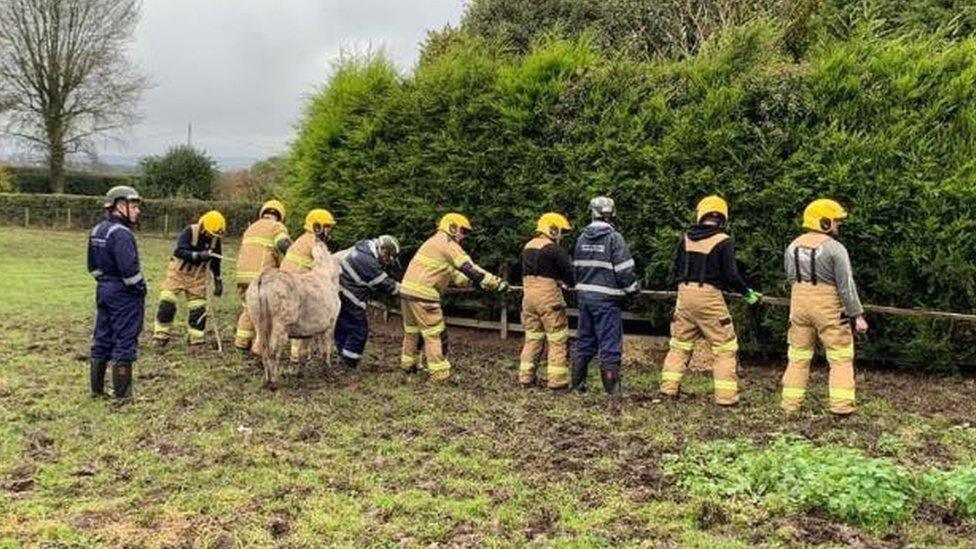 rescue crews in a field