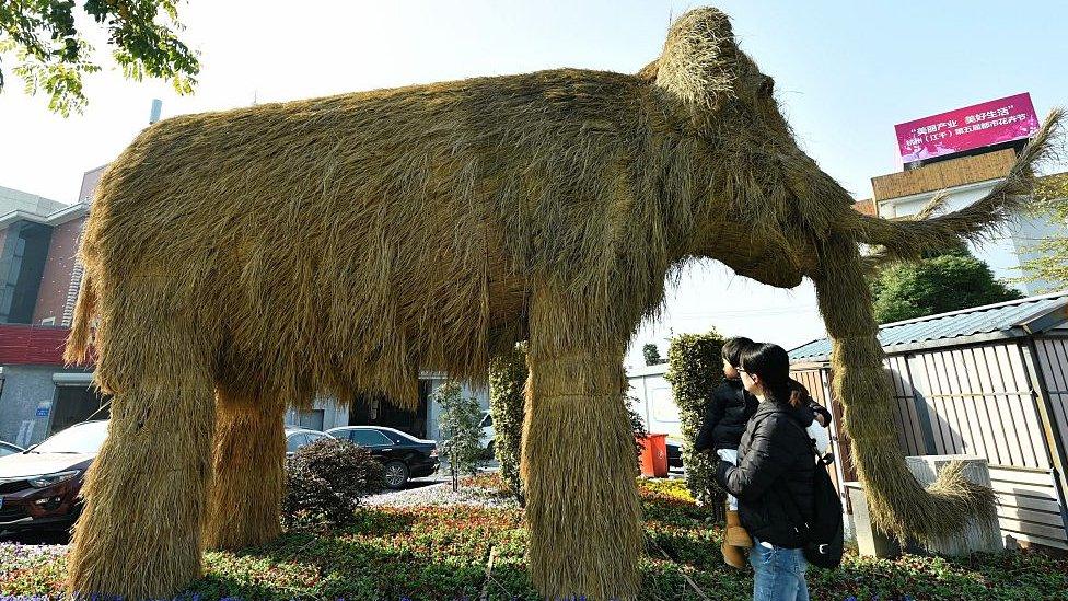 straw mammoth