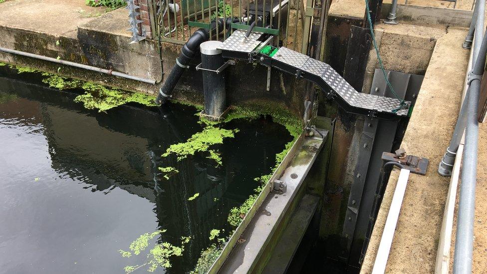 New Mills fish pass