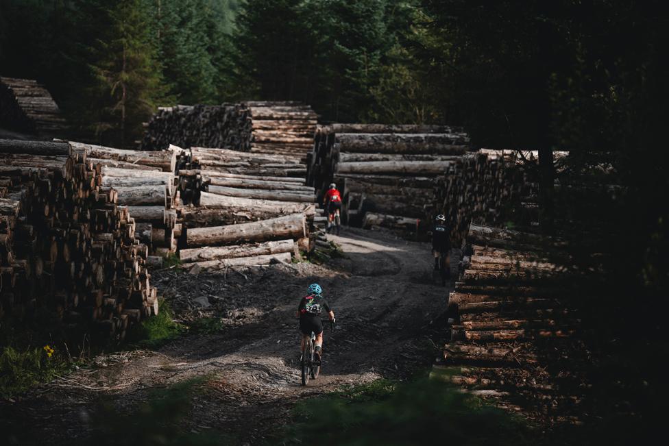 Gravel bikes