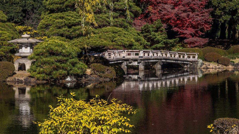 Image of Shinjuku Gyoen National Garden