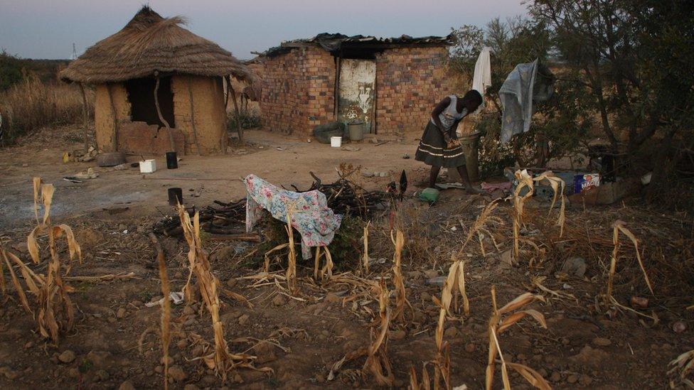 zimbabwean woman at farmstead