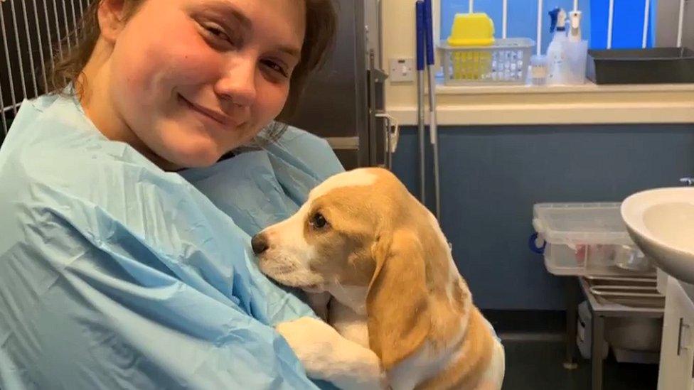 Danielle holds her beagle puppy Winston at the vets