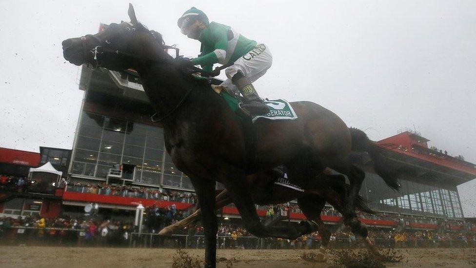 Exaggerator with Kent Desormeaux aboard wins the 141st Preakness Stakes