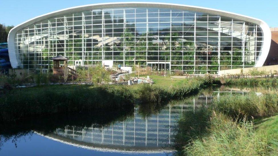 The swimming pool at Center Parcs' Woburn Forest