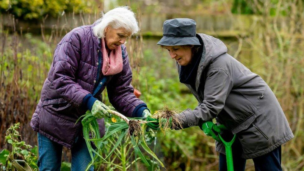 Gardening group