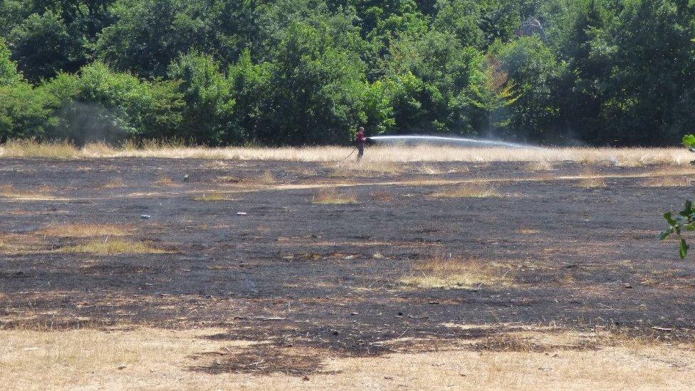 The scene of the fire at Hartsholme Country Park