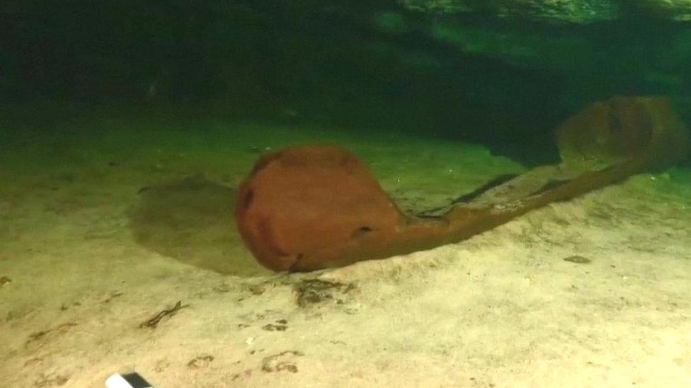 Wooden canoe at bottom of pool in cenote