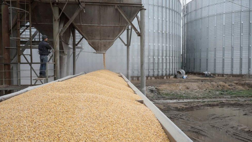 Grain storage facility in the village of Bilohiria, Khmelnytskyi region, Ukraine 19 April.