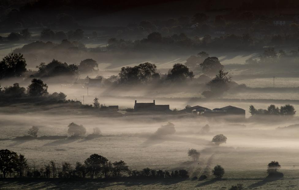 The Somerset levels