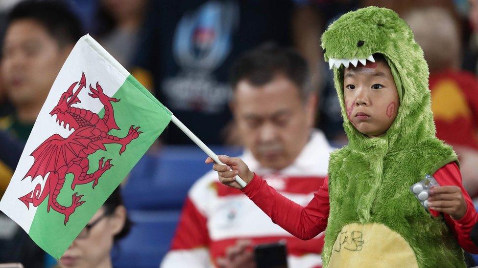 young-wales-fan.