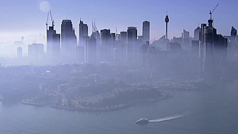 smoke covering sydney's skyline