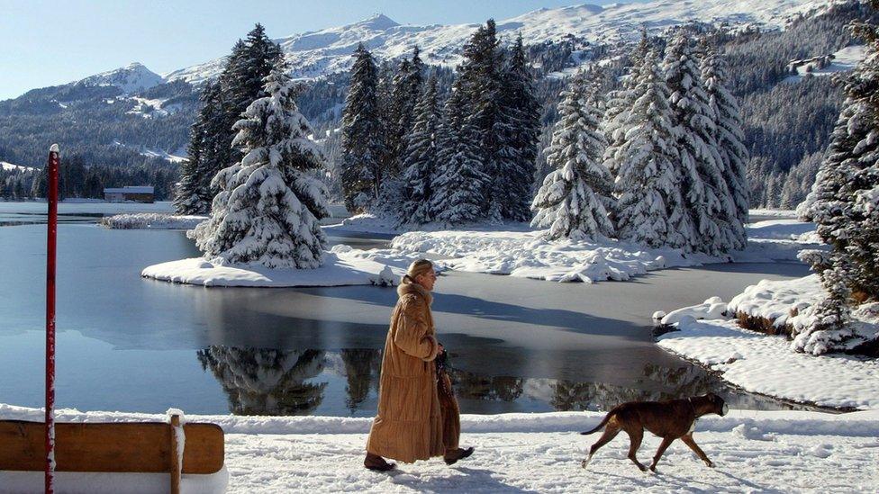 A woman walking her dog by a Swiss lake