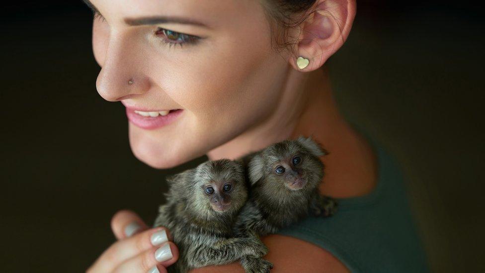 Woman holding pygmy marmosets