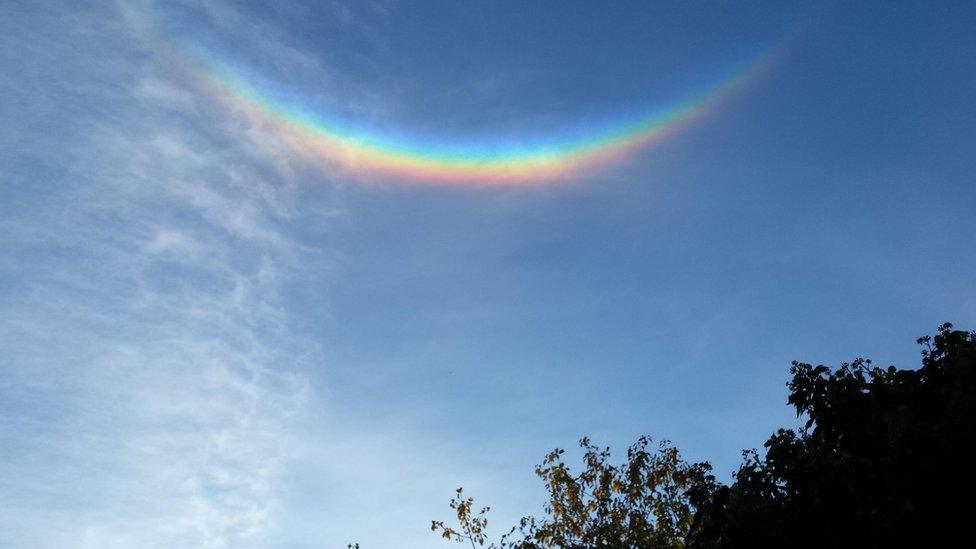 Rainbow in Halifax