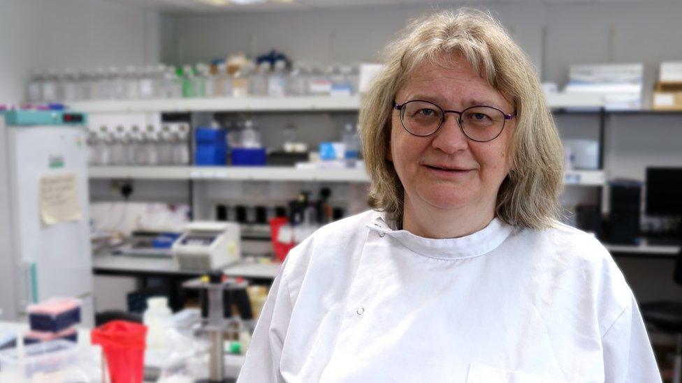 An t-Ollamh Zosia Miedzybrodzka,