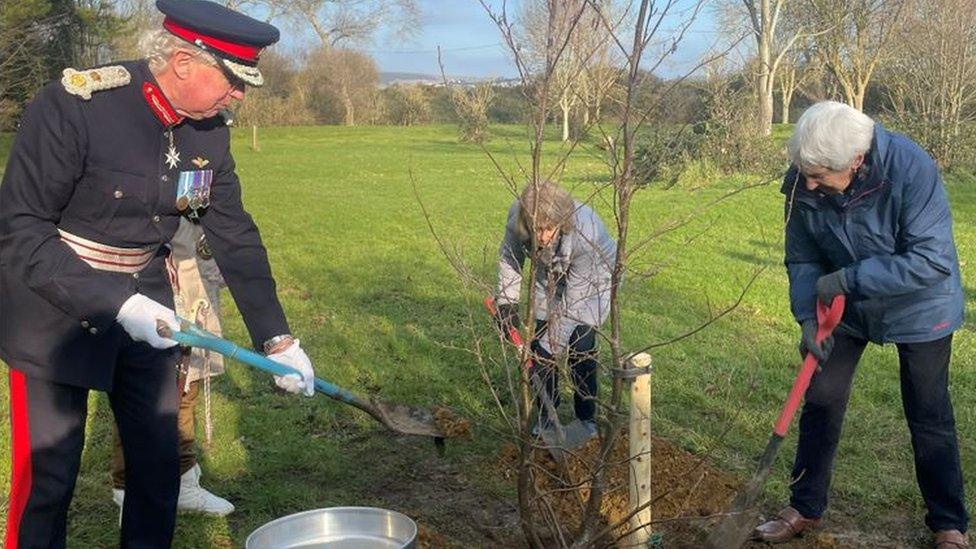 Three people planting the tree