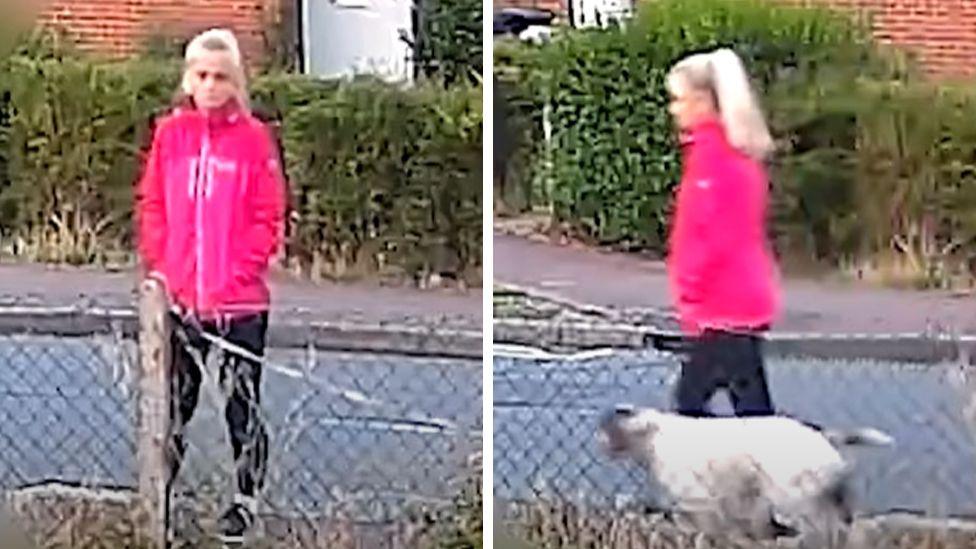 Blurry CCTV images show a woman, believed to be Anita Rose, wearing a pink waterproof jacket and dark trousers while walking a dog.