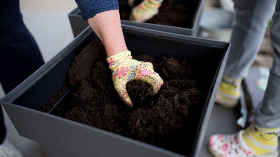 Compost