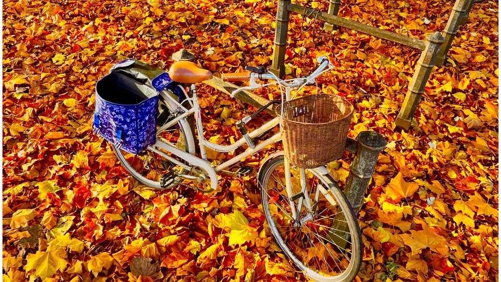 A bicycle is surrounded by orange and yellow leaves on the ground