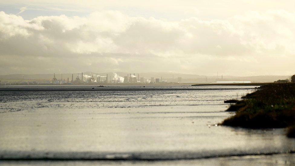 Looking over the Skinflats Reserve to Grangemouth