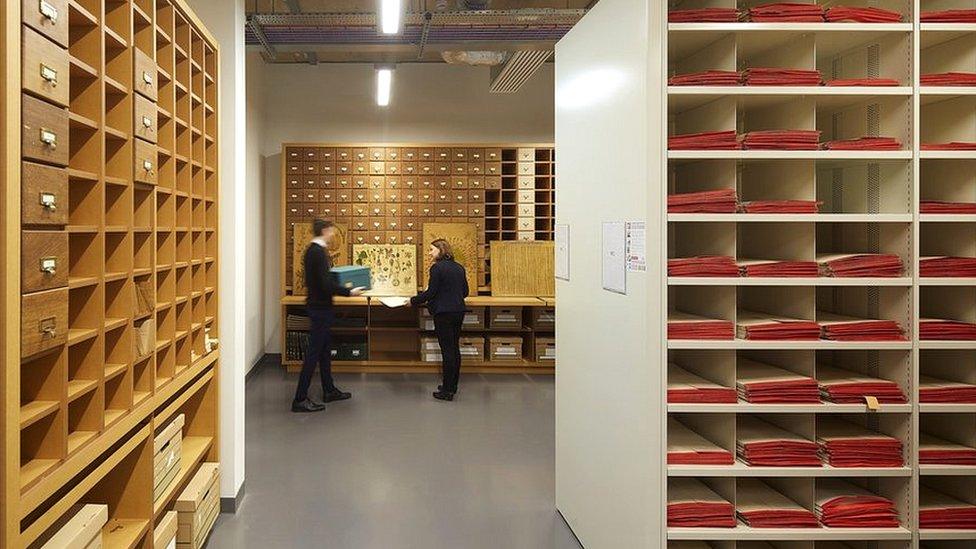 Herbarium at Cambridge University