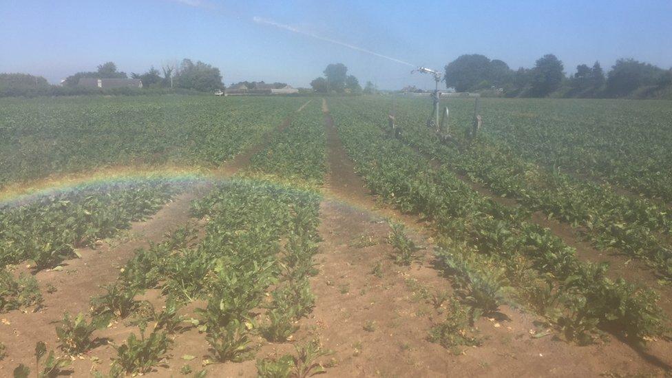 Irrigations system