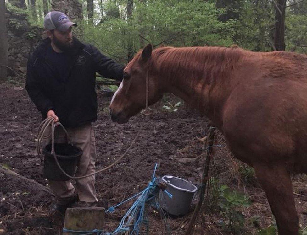 The animal control officer and the deer