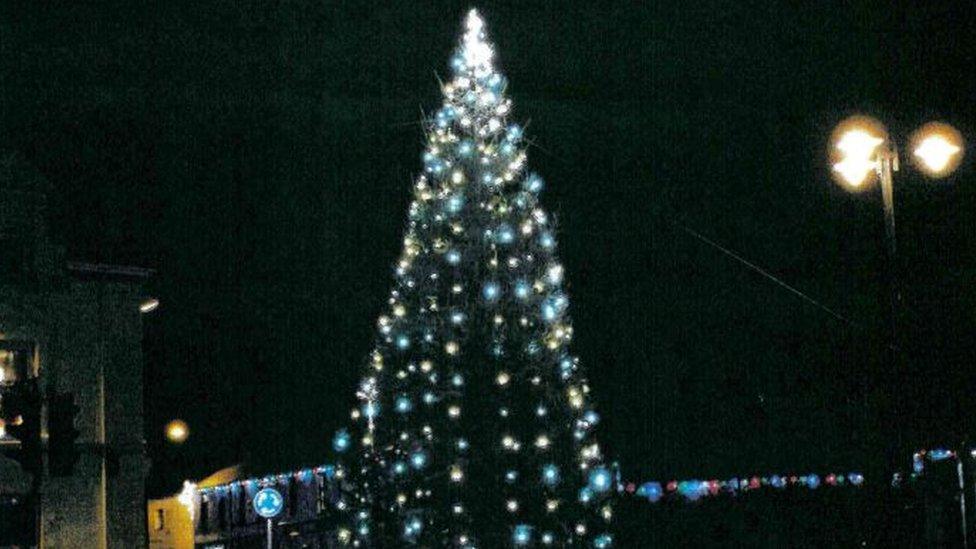 Pwllheli Town Council's 30ft tree