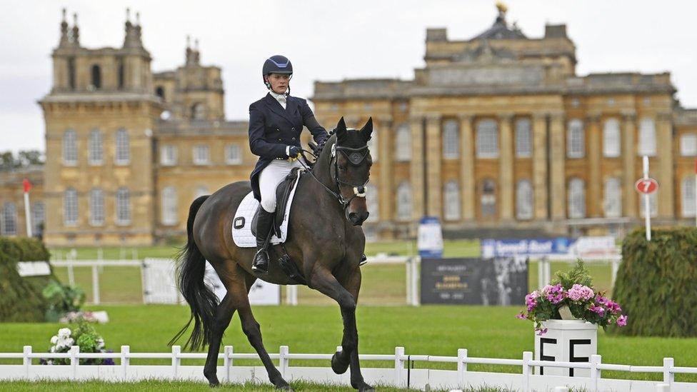 Rider at Blenheim Palace International Horse Trials