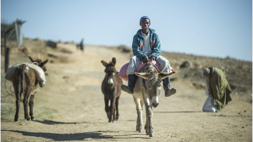 Man riding a donkey in Lesotho