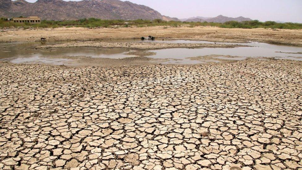 parched lake in India